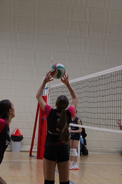 Clicca per ingrandire