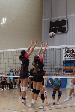 Clicca per ingrandire