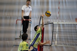 Clicca per ingrandire