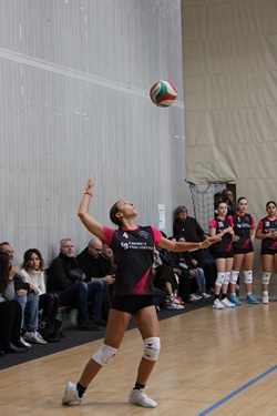 Clicca per ingrandire