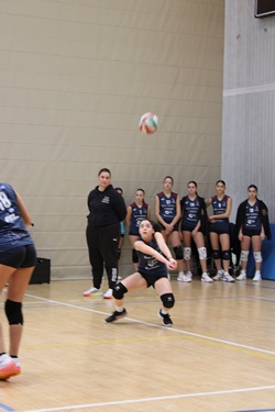 Clicca per ingrandire