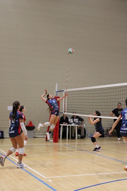 Clicca per ingrandire