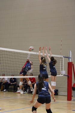 Clicca per ingrandire