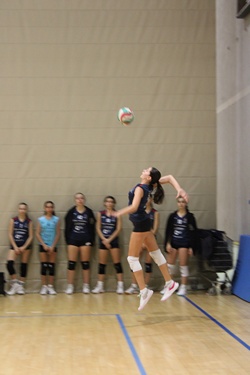 Clicca per ingrandire