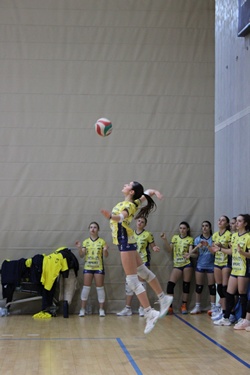 Clicca per ingrandire