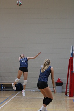 Clicca per ingrandire