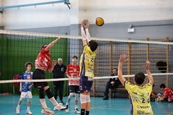 Clicca per ingrandire