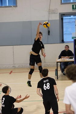 Clicca per ingrandire