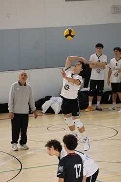 Clicca per ingrandire