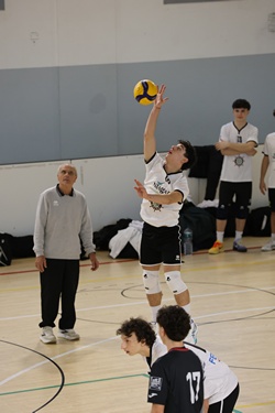 Clicca per ingrandire