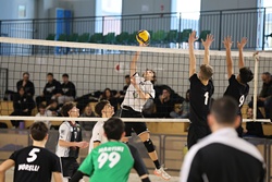 Clicca per ingrandire