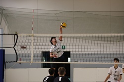 Clicca per ingrandire