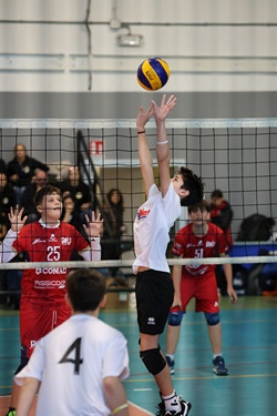 Clicca per ingrandire