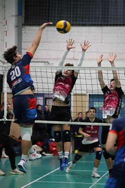 Clicca per ingrandire