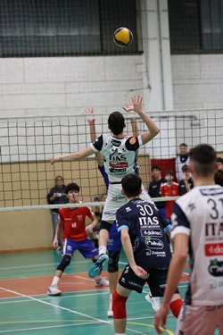 Clicca per ingrandire