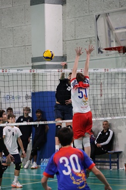 Clicca per ingrandire