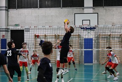 Clicca per ingrandire