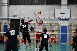 Clicca per ingrandire