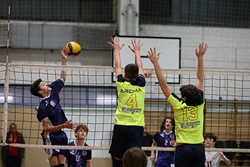 Clicca per ingrandire