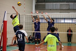 Clicca per ingrandire