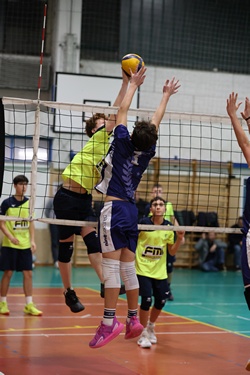 Clicca per ingrandire