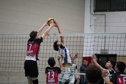 Clicca per ingrandire