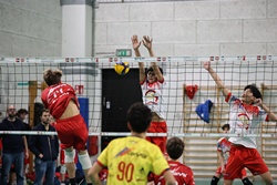 Clicca per ingrandire