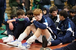 Clicca per ingrandire