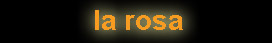 Torna alla rosa
