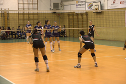 Clicca per ingrandire