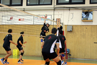 Clicca per ingrandire
