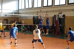 Clicca per ingrandire