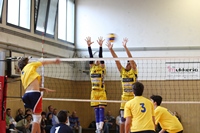 Clicca per ingrandire