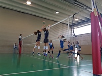 Clicca per ingrandire