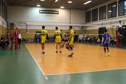 Clicca per ingrandire