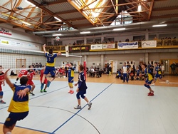 Clicca per ingrandire
