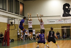 Clicca per ingrandire