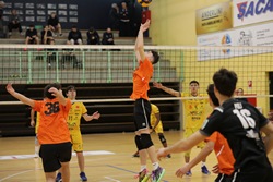 Clicca per ingrandire