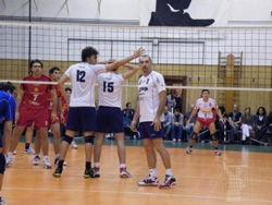 Clicca per ingrandire
