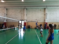 Clicca per ingrandire