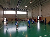 Clicca per ingrandire