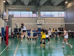 Clicca per ingrandire