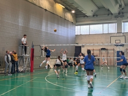 Clicca per ingrandire