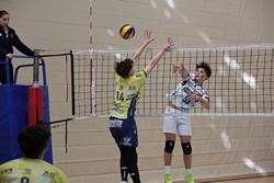Clicca per ingrandire