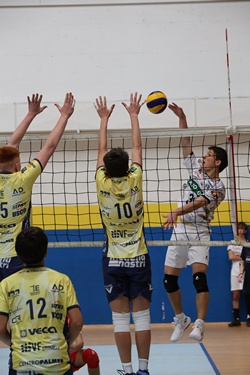 Clicca per ingrandire