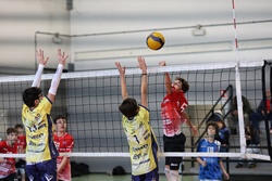 Clicca per ingrandire
