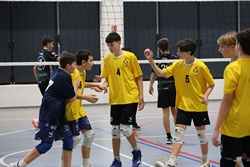 Clicca per ingrandire