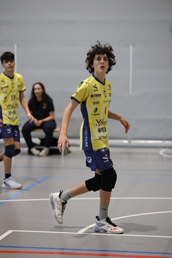 Clicca per ingrandire