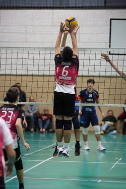 Clicca per ingrandire