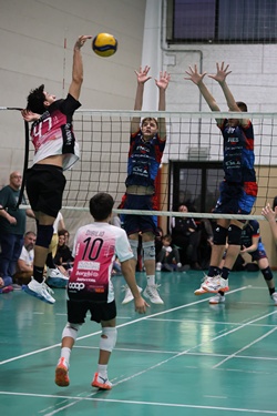 Clicca per ingrandire